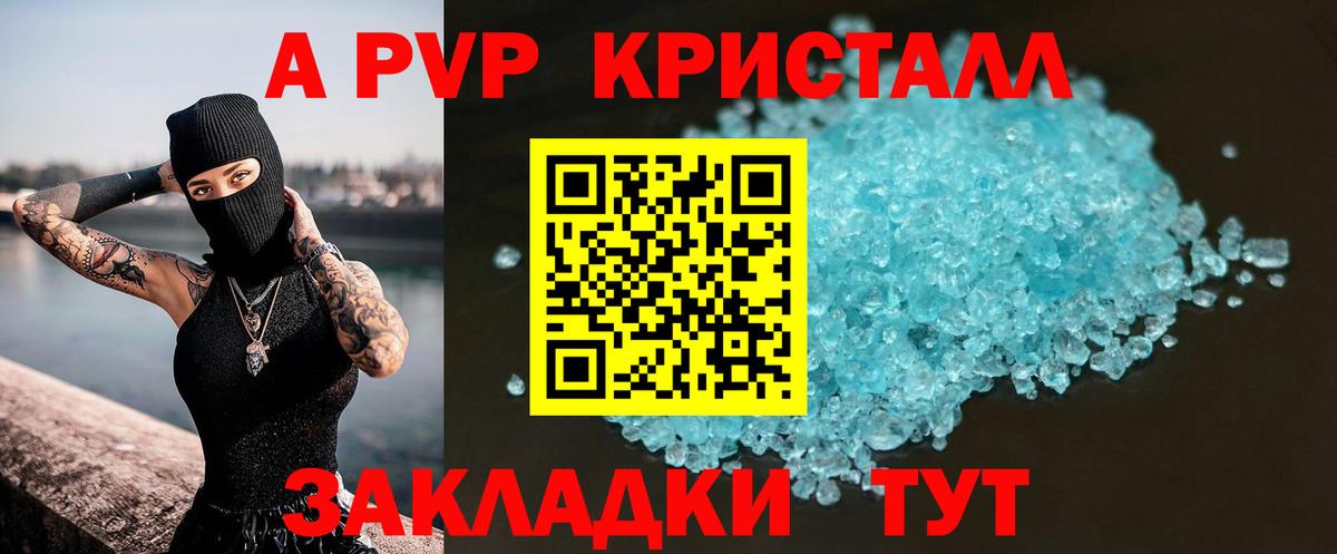 Альфа ПВП СК КРИС Малгобек