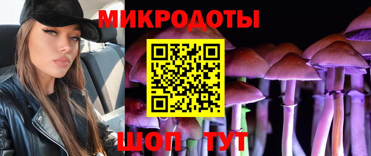 Галлюциногенные грибы Psilocybine cubensis  Вход с VPN  Псилоцибиновые грибы MAGIC MUSHROOMS  Малгобек 
